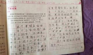 300字小作文